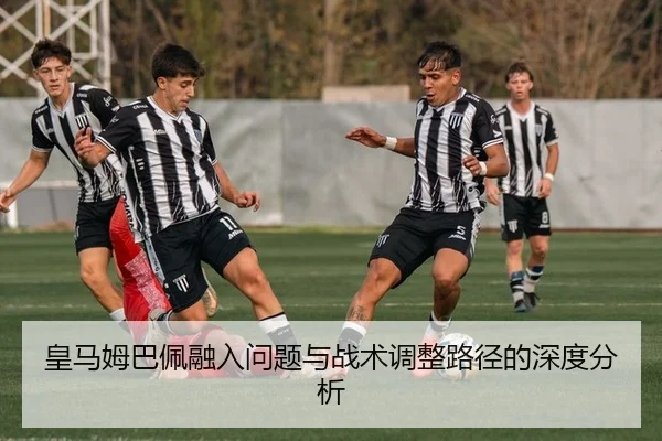 huang-ma-mu-ba-pei-rong-ru-wen-ti-yu-zhan-shu-tiao-zheng-lu-jing-de-shen-du-fen-xi-2-472.jpg
